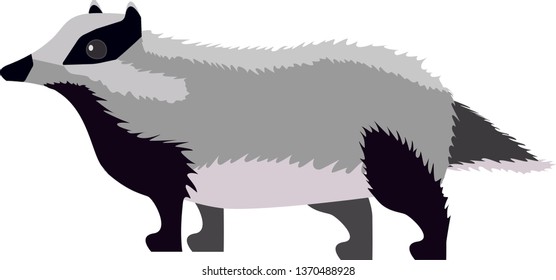 Illustration of badger