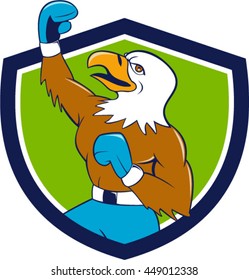 Illustration of a bald eagle boxer pumping fist in the air looking up viewed from the side set inside shield crest done in cartoon  style. 