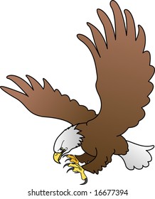 Illustration of bald eagle with spread wings