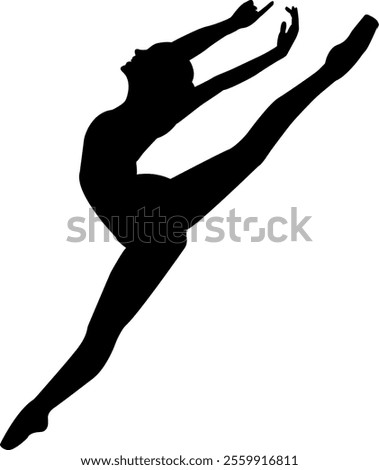 illustration of a ballet dancer's pose 