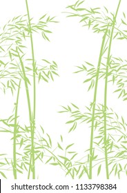 Illustration of bamboo