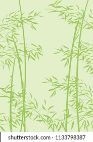 Illustration of bamboo