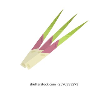 An illustration of bamboo with bent roots, a wild vegetable.