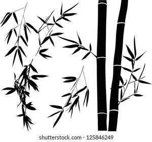 illustration with bamboo branches collection on white background