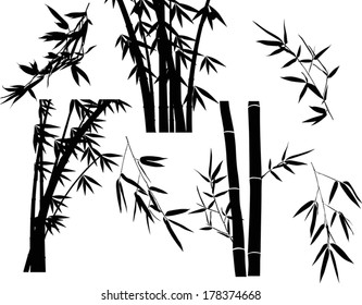 illustration with bamboo branches collection on white background