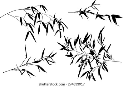 illustration with bamboo branches collection on white background