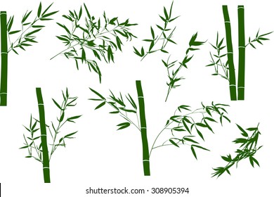 illustration with bamboo branches collection on white background