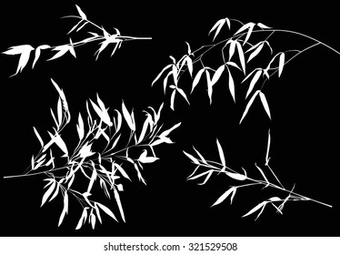 illustration with bamboo branches collection on black background