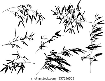 illustration with bamboo branches collection on white background