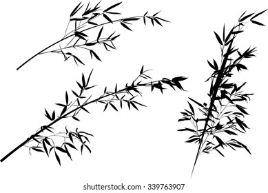 illustration with bamboo branches collection on white background