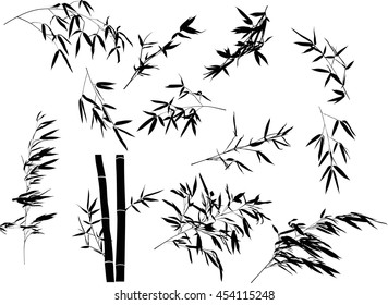 illustration with bamboo branches collection on white background