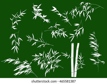 illustration with bamboo branches collection on green background