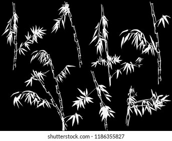 illustration with bamboo collection on black background