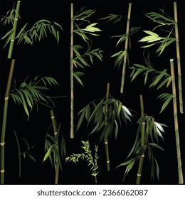 illustration with bamboo collection on black background