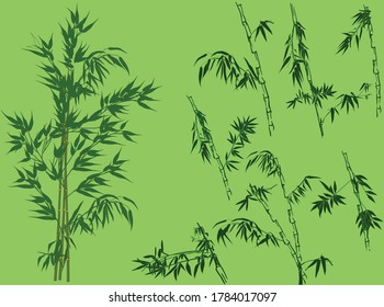 illustration with bamboo collection on green background