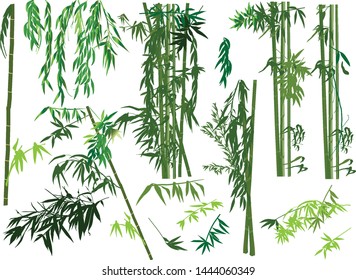 illustration with bamboo collection on white background