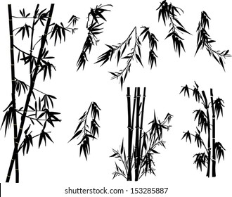 illustration with bamboo collection on white background