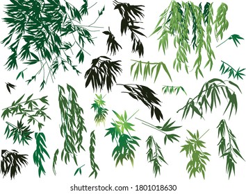 illustration with bamboo collection on white background