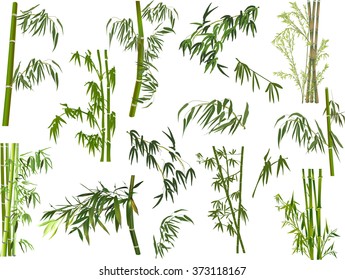 illustration with bamboo collection on white background