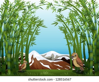 Illustration of a bamboo forest view