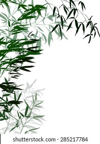 illustration with bamboo isolated on white background