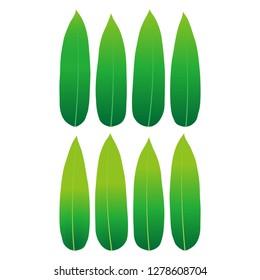 Illustration of the bamboo leaf