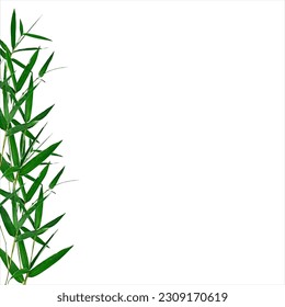 Illustration of bamboo leaves for your various artwork needs