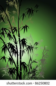 illustration with bamboo on green background