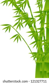 illustration with bamboo on white background