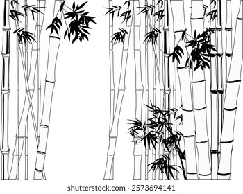 illustration with bamboo plants outlines on white background