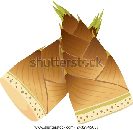 It is an illustration of a bamboo shoot
