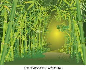 Illustration of bamboo trees, asian forest landscape background.