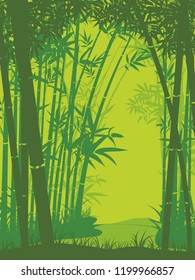 Illustration of bamboo trees, asian forest landscape background.