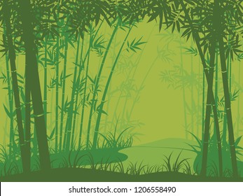 Illustration of bamboo trees, asian forest landscape background.