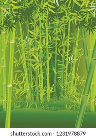 Illustration of bamboo trees, asian forest landscape background.