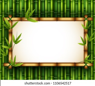 Illustration of bamboo trees in frame nature