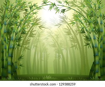 Illustration of the bamboo trees inside the forest