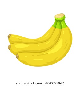 Illustration of banana bunch Illustration 