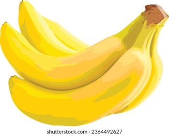 illustration banana isolated on white