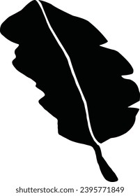 illustration of a banana leaf