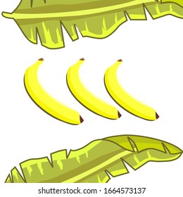 
Illustration von Bananenblatt und Banane auf weißem Hintergrund