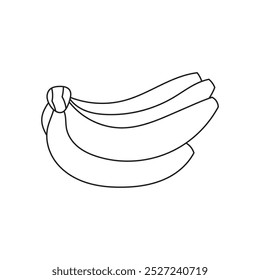 Illustration banana line sketch with blank background