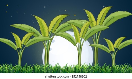 Illustration of a banana plantation under the white fullmoon