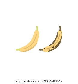 illustration of a banana that is still fresh and a banana that is rotten. fruit or food. flat cartoon style. vector design