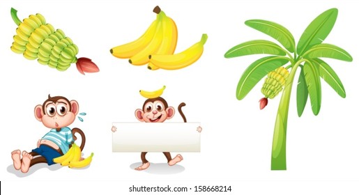 Illustration of the bananas and monkeys with an empty signboard on a white background