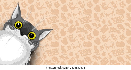 Illustration banner with cute gray cat on beige background.