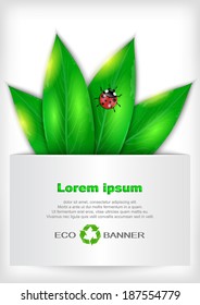 Illustration of banner with green leaves, ladybug and recycle sign