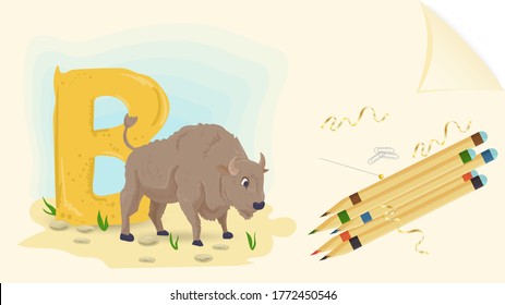 illustration of a banner layout, English alphabet for learning the alphabet, letter B, Buffalo on a sheet of paper with colored pencils