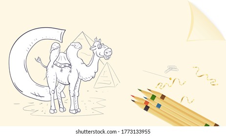 illustration of banner layout, English alphabet for learning the alphabet, letter C, camel on a sheet of paper with colored pencils, outline Doodle