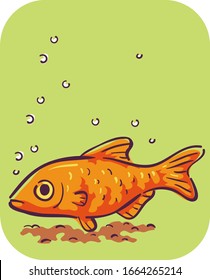 Illustration of a Barb Fish Pet Staying Down at the Bottom of Aquarium, Symptom of Swim Bladder Disorder